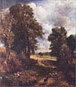 The Cornfield